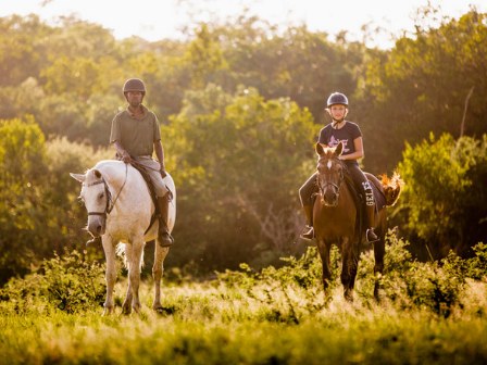 Luxury 7 night Safari